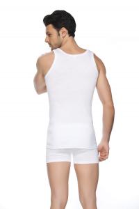 9006-arka